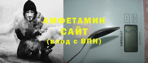 соль ск Каменка