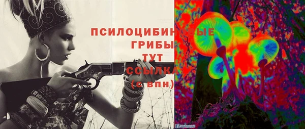 jwh Каменногорск