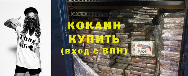 соль ск Каменка