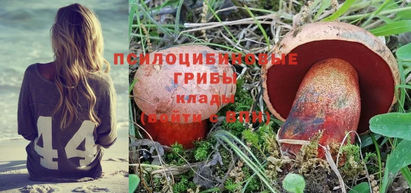 винт Каменск-Шахтинский